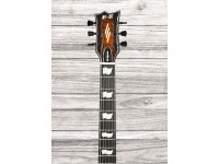 ESP E-II Eclipse Tiger Eye Sunburst ESP E-II Eclipse Tiger Eye Sunburst